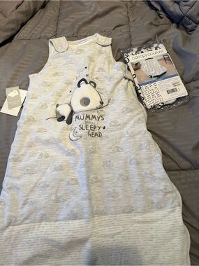Primark Light Gray Panda Sleepsack with Nighttime Graphic and Car seat Canopy